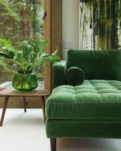 Tendances Deco 2018 : le Vert - Peintres Decorateurs