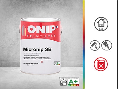 pot peinture micronip