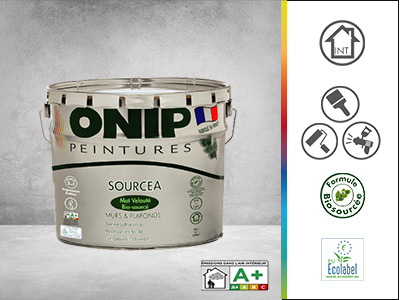 Peinture SOURCEA par Onip